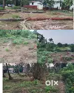 Settlement plots for sale in Quepem