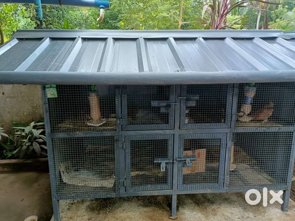 Chicken Cage For Sell