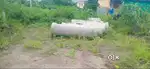 OPEN PLOT ON RENT FOR ANY COMMERCIAL ACTIVITY
