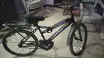 Best cycle