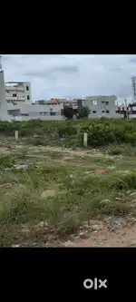 5 cents Plot in PEDDA BALAJI LAYOUT, Lalita Nagar