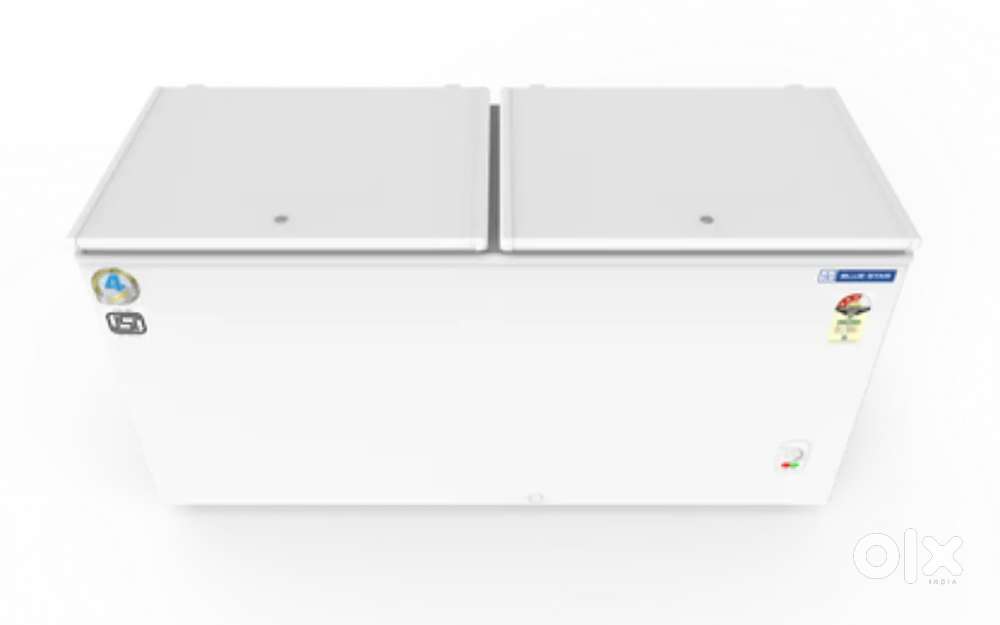 BLUE STAR DEEP FRIDGE 400 LTR