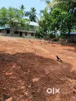 12 cent വസ്തു വാടകക്ക്, മൈലക്കാട്, കൊട്ടിയം.