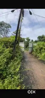 Siolim prime area square plot 1400sqmtr ask 80/sqmtr ready Cuntru..lic