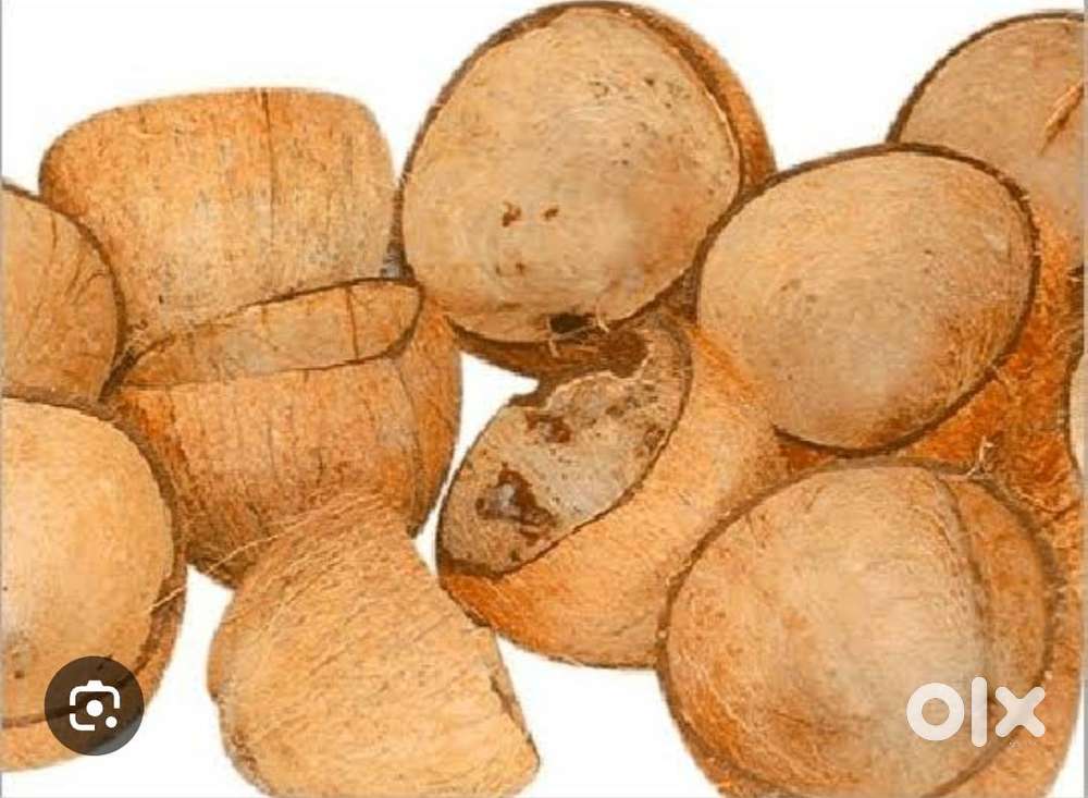 Coconut shell buyer