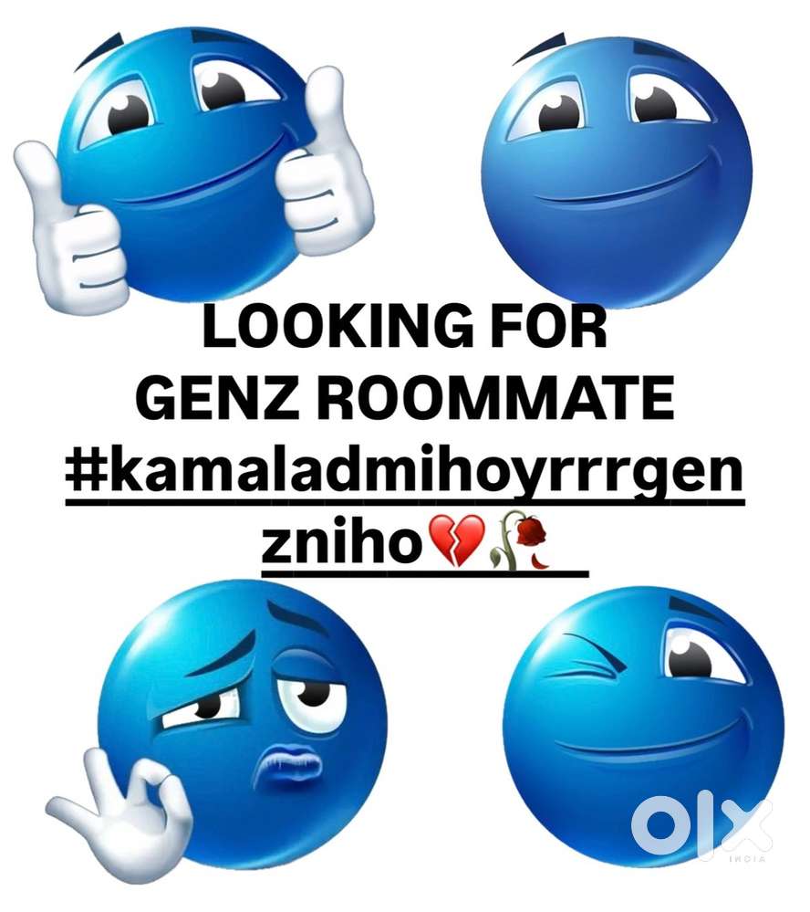 LOOKING FOR CHILL GENZ ROOMMATE