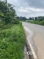 Land for sell