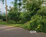 അമ്പലവയലിൽ ഹൈവേ ഫ്രണ്ടേജ് ഉള്ള നല്ല വ്യൂ ഉള്ള 50 സെൻ്റ് സ്ഥലം