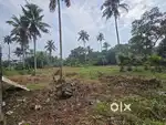 55 Cent Residential Land for Sale – Olanadu Kongorpilly Road Frontage