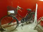 Brand New Bicycle