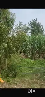 Farm House