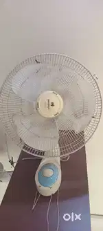 Wall fan Havells