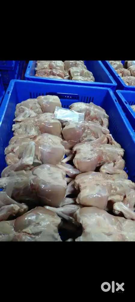 Poultry industry