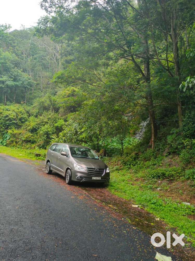 75 cent  land for sales 25000/-only cent Kuttikkanam