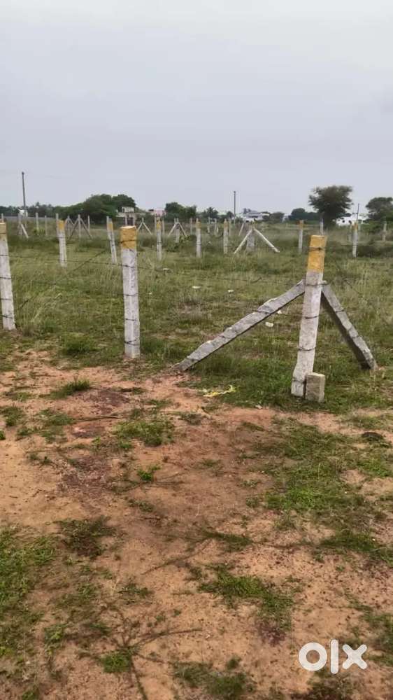 Plot for sale near Gundur( 8 kms from panjapur bus terminus)