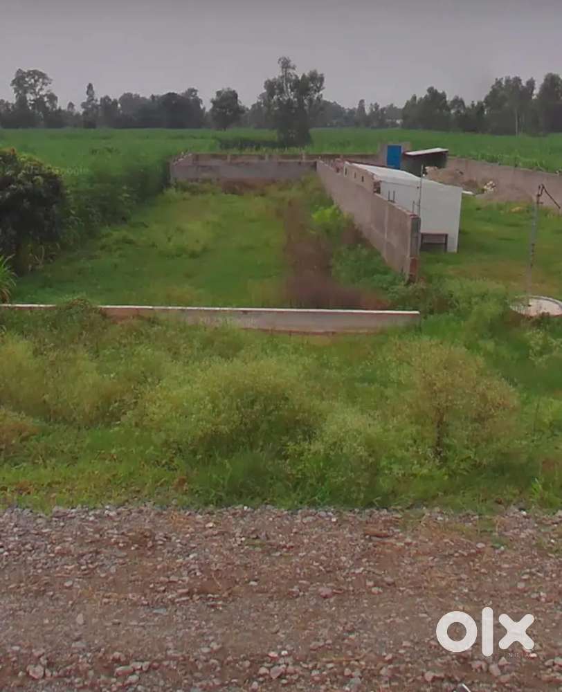 Land 500 gaj Rs 35000/gaj for  NA land on Highway  najibabad to bijnor