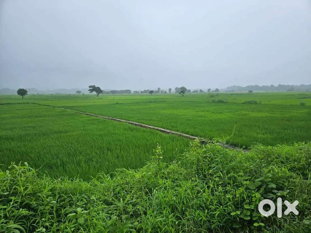 Own Your Piece of Navi Mumbai – Premium Open Plots Now Available!”