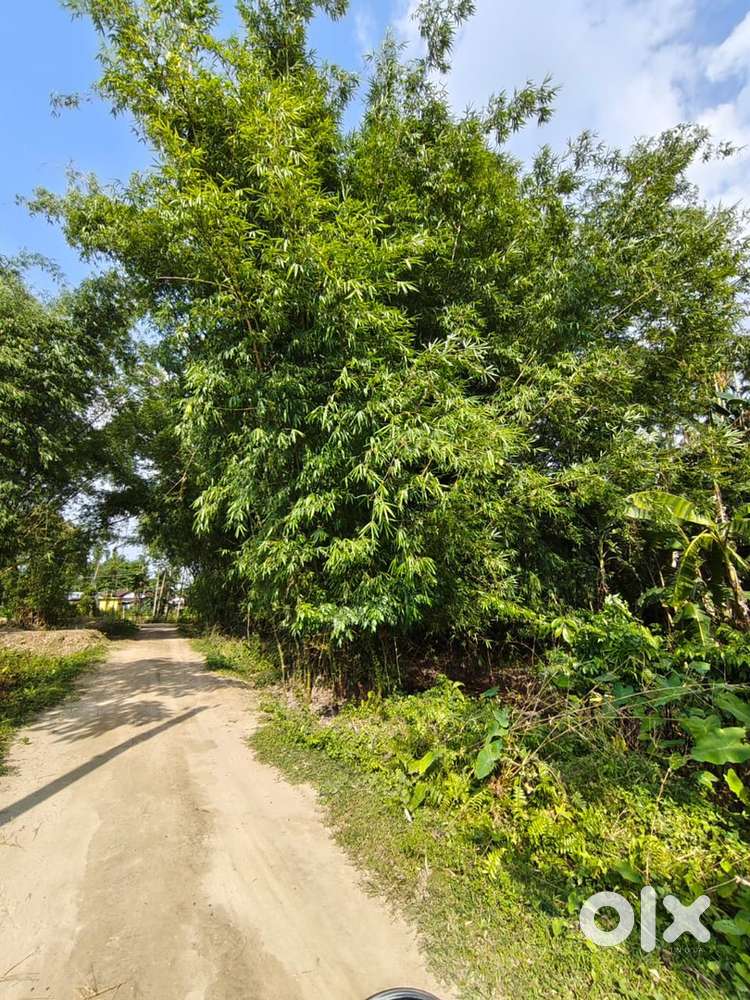 3 kotha myadi land for sale