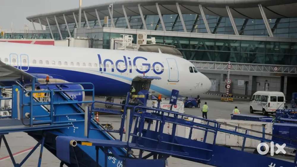 Urgent hiring for ground staff vacancy in Indigo airline