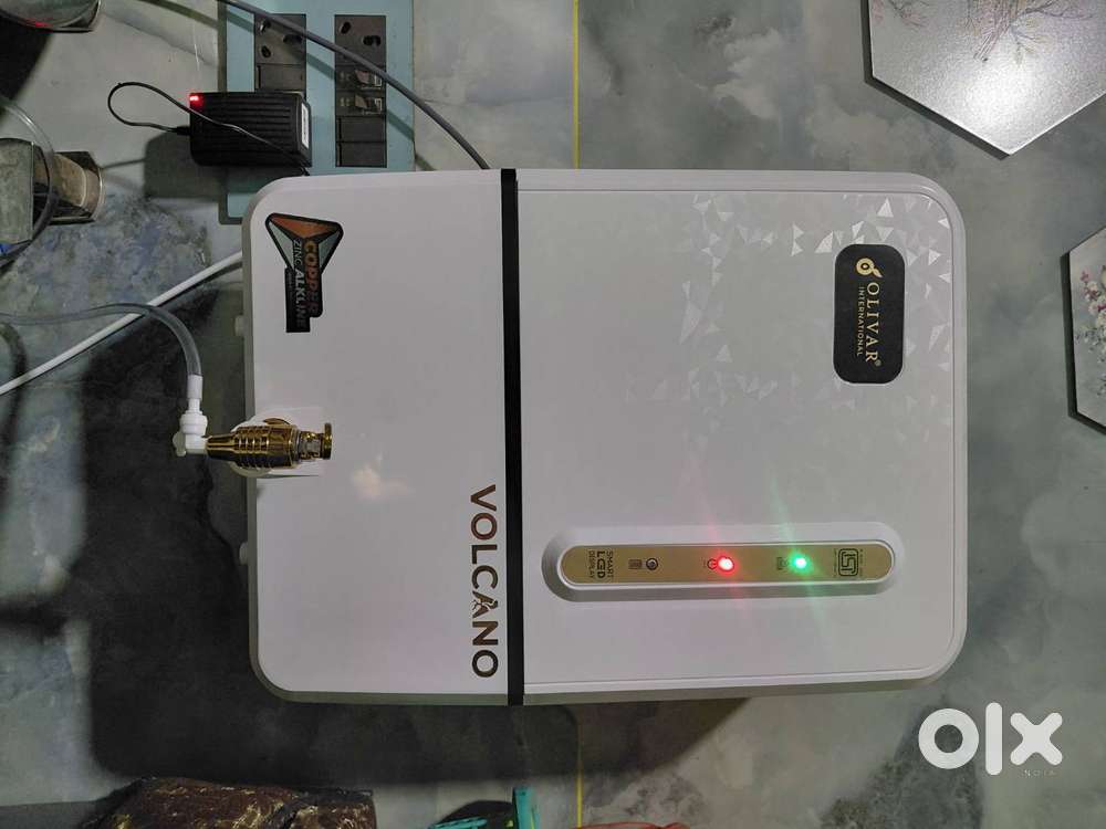 Olivar International RO