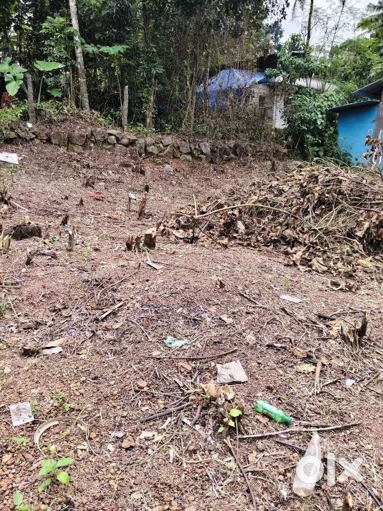 5 cent plot for sale at kalathukal kachani palamukku jn