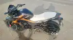 Hornet bike