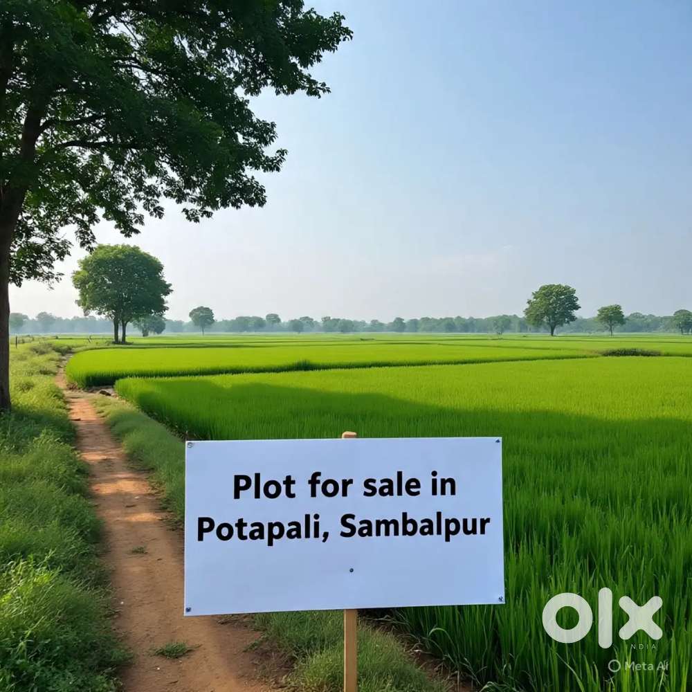 PLOTS FOR SALE IN POTAPALI, SAMBALPUR FOR INVESTMENT, FARMHOUSE PLOTS