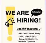 Telecaller collection process 9 to 6 working