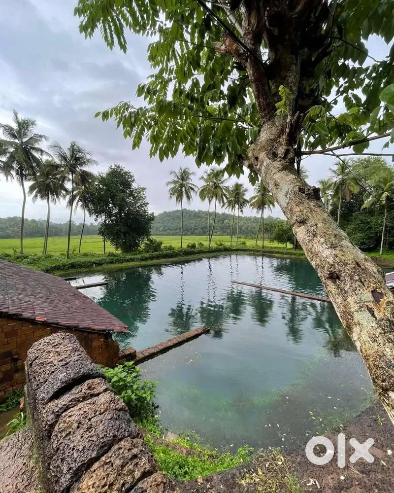 House with home stay facility for sale