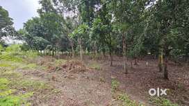 4.50 Acre East facing Land for sale in Ikkarai poluvampatti main road