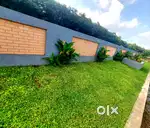 Plot at Manakkakadavu  Kakkanad Kochi