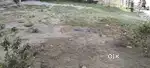 Arrah, Baxur , patna Vanaras ( jamin . Ghar )