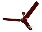Ceiling Fans