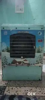 Cooler lohe ka