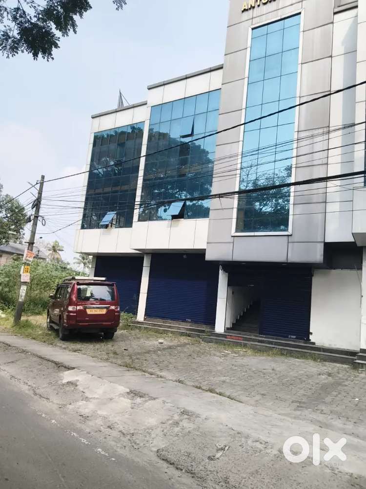 Gym/institutes/study abroad