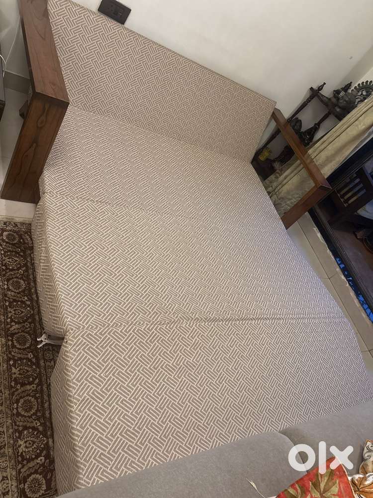 Sofa cum Bed