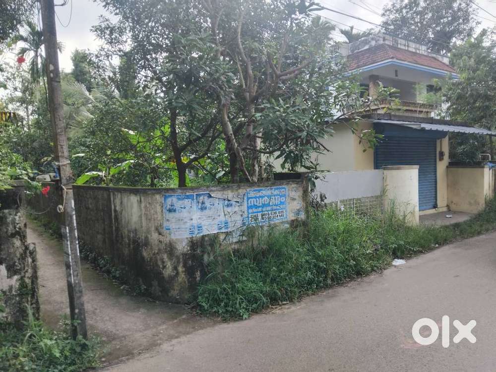 8 Cent Road Frontage Land for Sale. Near NM JN, Panagad, Kochi.