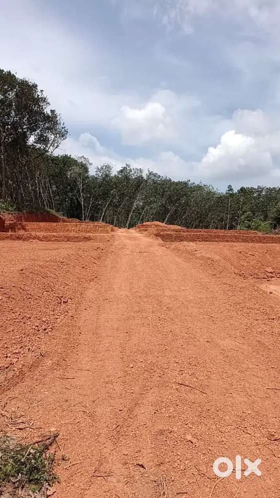 Plot for Sale