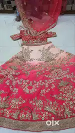 Pink/Red Embroidered Lehenga