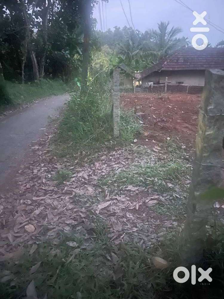 45 cents land with road frontage for urgent sale, 48k / cent only