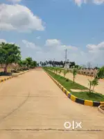 Best option for construction or investment