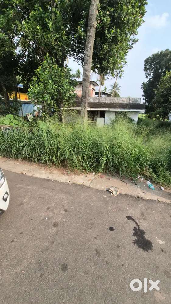 NH85 Road Land For Sale