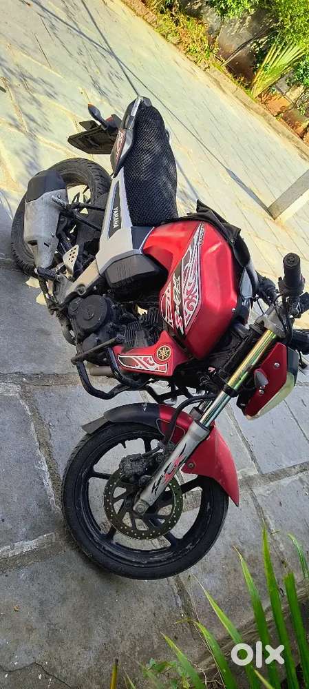 All all papers available spot transfer papers