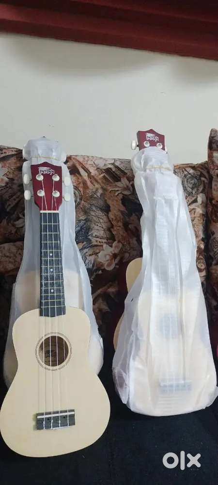 New Ukulele