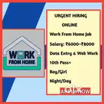 Work From Home Online Job Data Entry D1