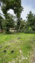 Residential Land Sale in Vayalar House Plot  Sale in Alappuzha