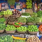 Vegetable shop stall boy