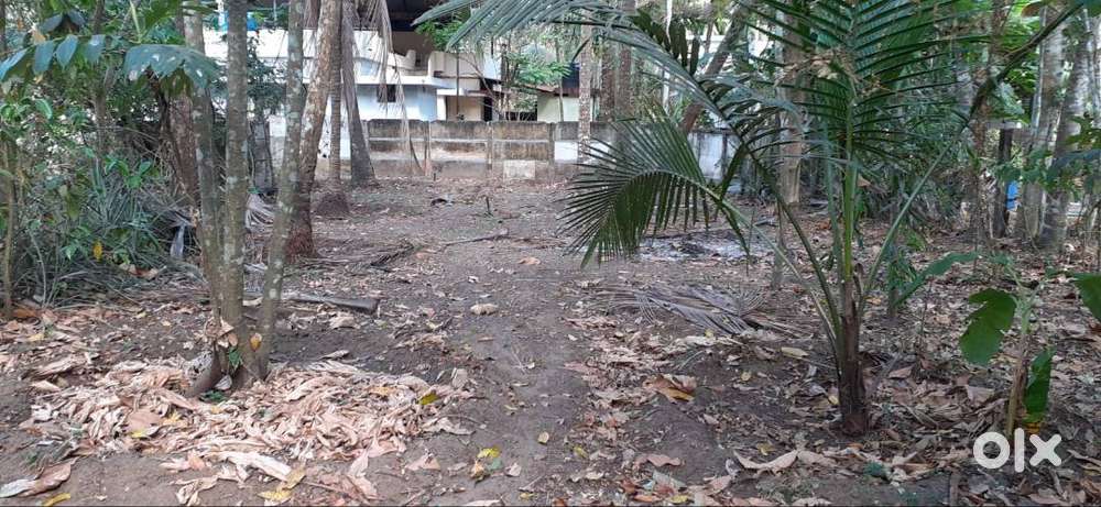 6.25 cent plot Near Talikulam center for sale