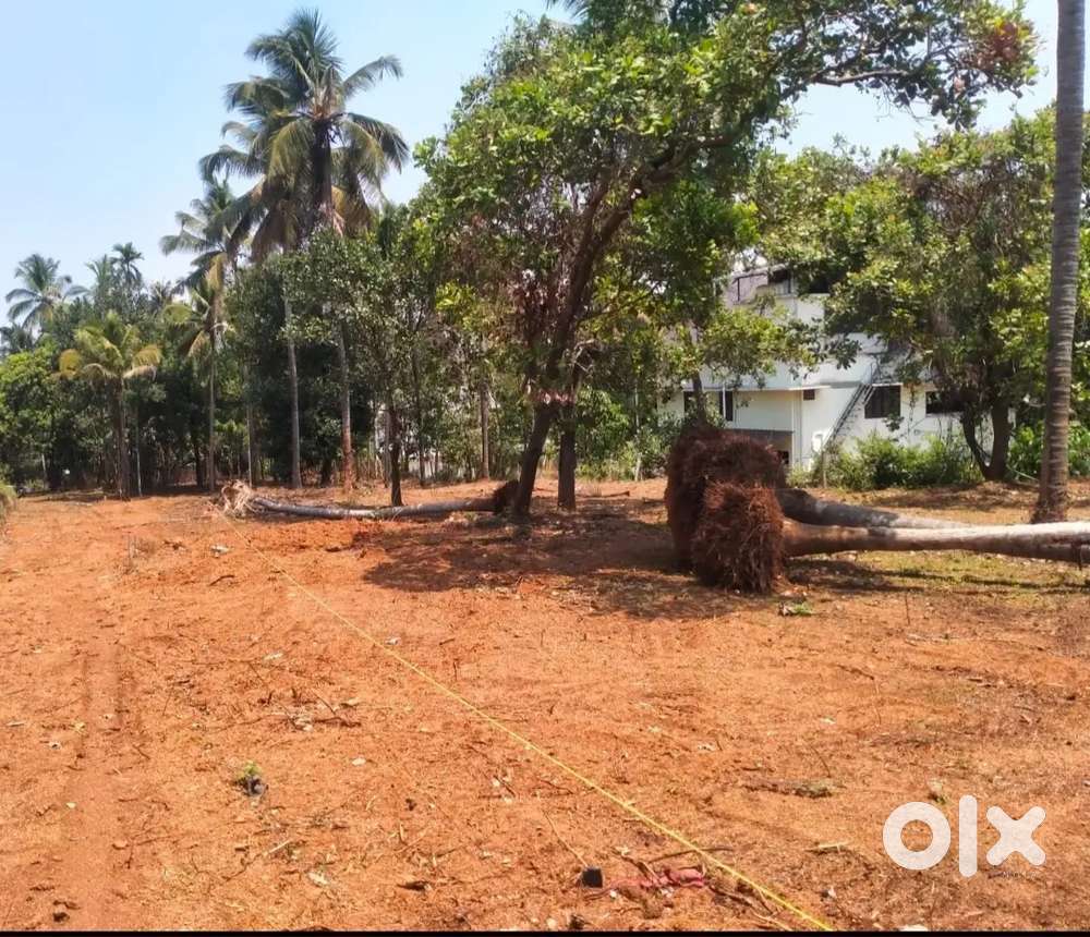 First class house plot for sale in pudukad thrissur 5 10 15 cents
