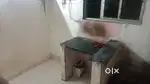 Room in chawl